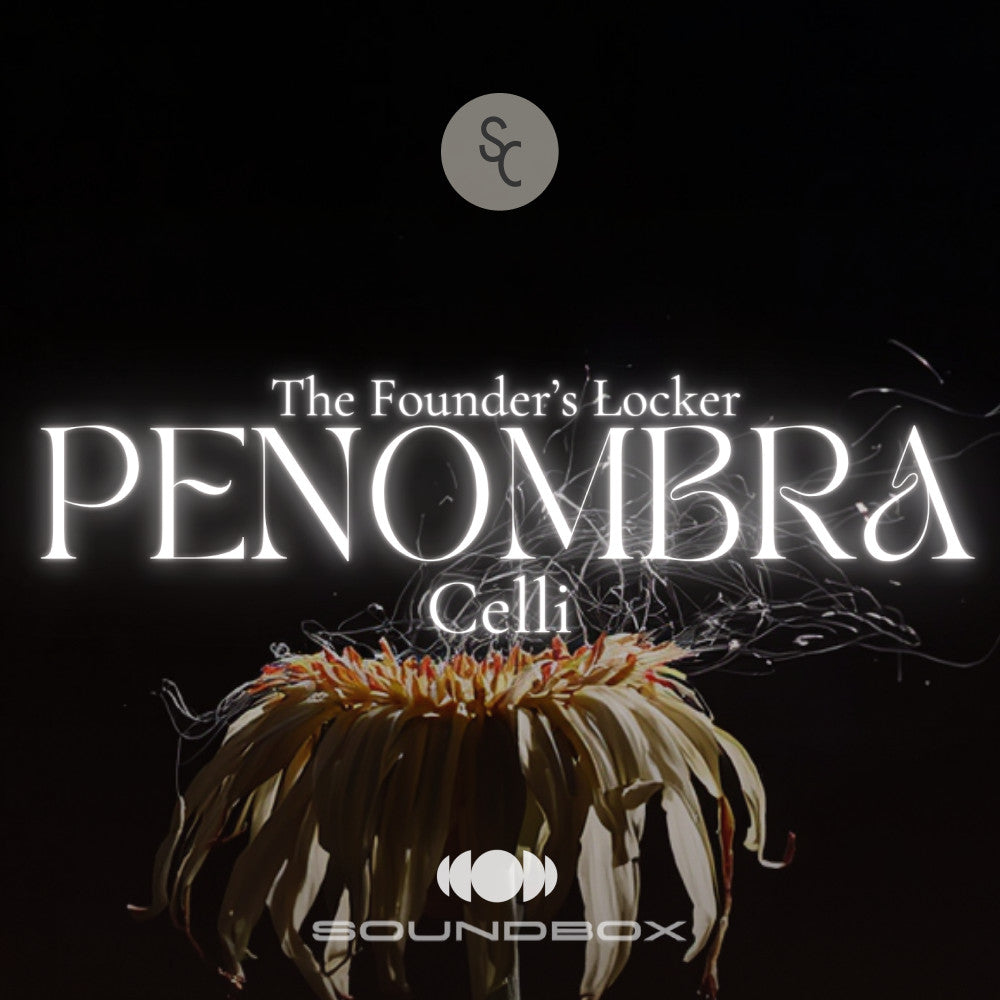 The Founder's Locker: Penombra Celli - Soundbox Instrument